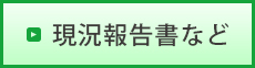 現況報告書など