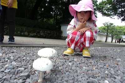 児20240629城9.jpg