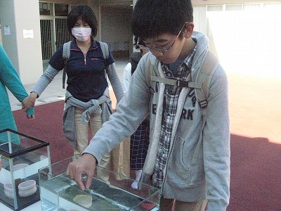 20181110-165644.jpg