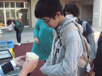 20181110-165710.jpg