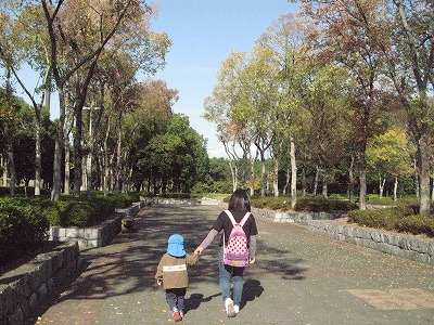 20181120-095138.jpg