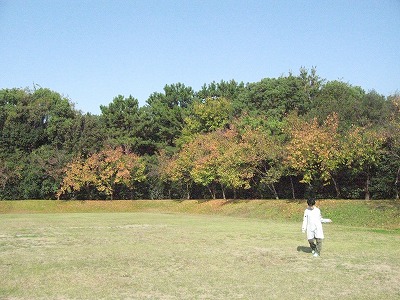 20181120-095245.jpg