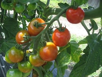 20190621-162131.jpg