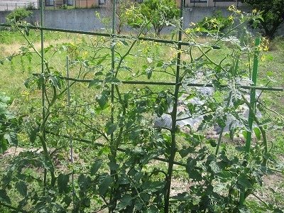 20190621-162205.jpg