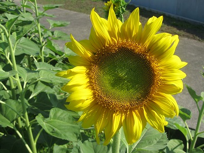 20190708-140741.jpg