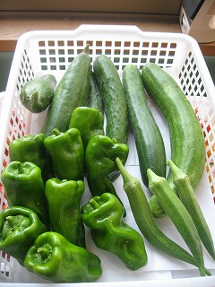 夏野菜