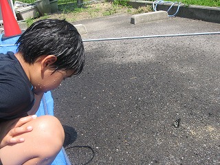 20190815-142843.jpg