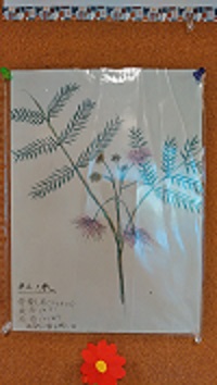 利用者作品②