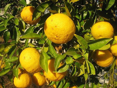 20191207-164119.jpg