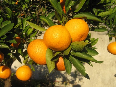 20191207-164320.jpg