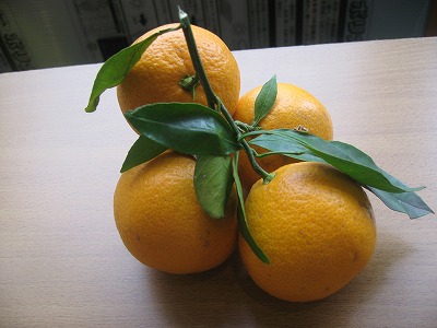 20191207-164429.jpg