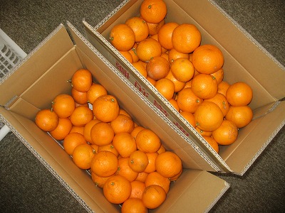 20191207-164448.jpg