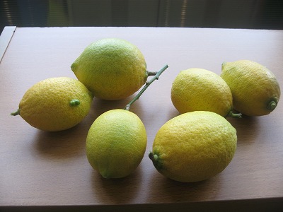 20191207-164510.jpg