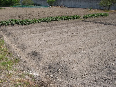 20200502-102002.jpg