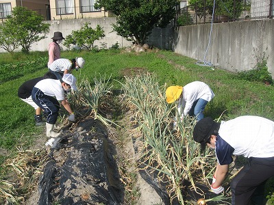 20200606-093247.jpg