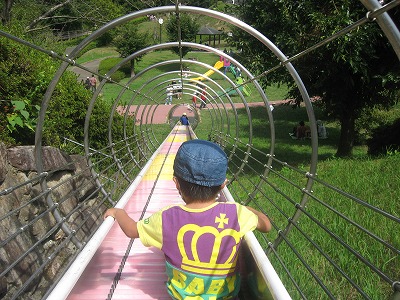 20200924-113757.jpg