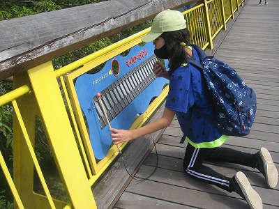 20200924-113816.jpg