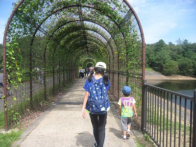 20200924-113833.jpg