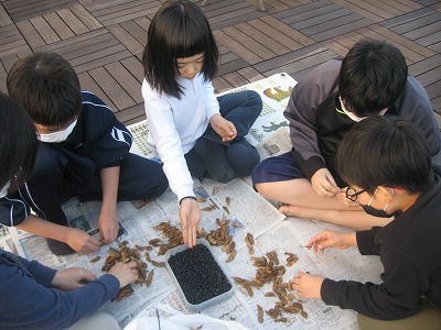 20201212-161404.jpg
