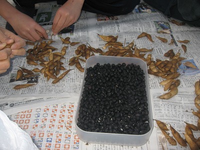 20201212-161446.jpg