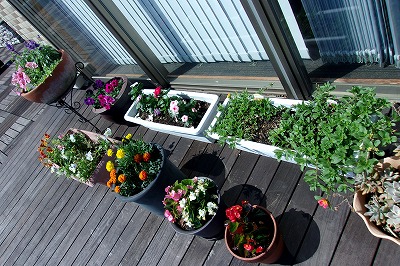 20210601-094541.jpg