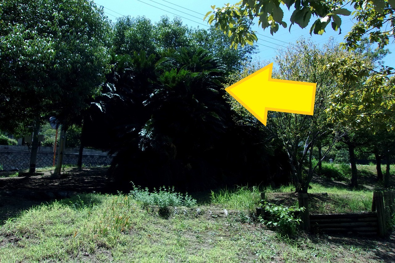 児童デイ田尾坂8(2).jpg