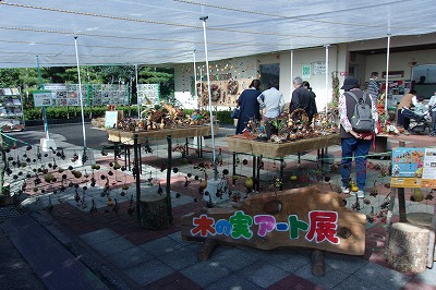 児童デイ木の実3.jpg