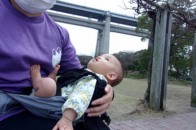 児20240402瀬戸大橋4.jpg