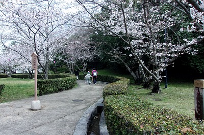 児20240404丸亀城1.jpg