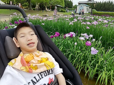 児20250630-菖蒲園.jpg