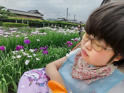 児20250630-菖蒲園2.jpg