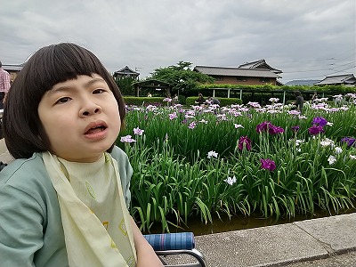 児20250630-菖蒲園3.jpg