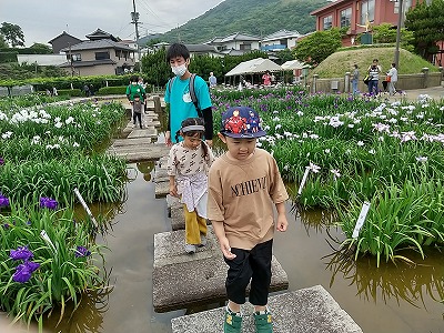 児20250630-菖蒲園6.jpg