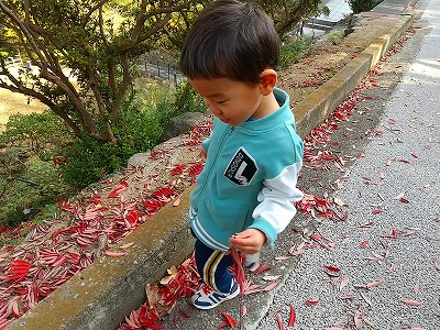 20251125-桃陵公園４.jpg