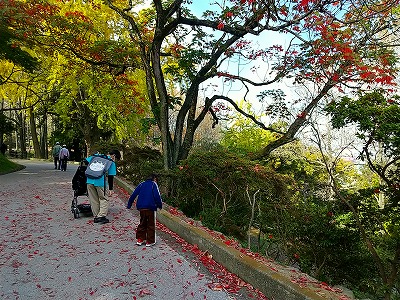 20251125-桃陵公園５.jpg