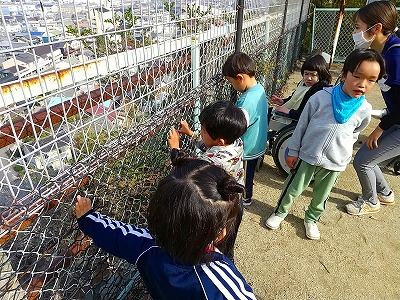 20251125-桃陵公園11.jpg