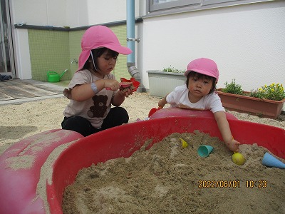 園庭4.jpg