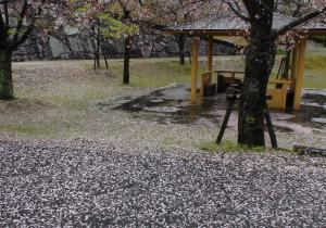 d016.jpg