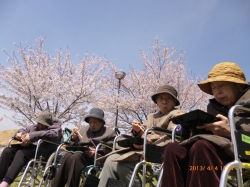 yamauchi355.jpg