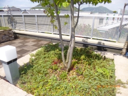 yamauchi508.jpg
