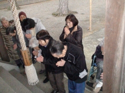 yasuda796.jpg
