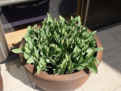 yusa670.jpg